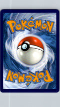 Gym Stamp Bloodmoon Ursaluna ex  141/167 NM (Back)